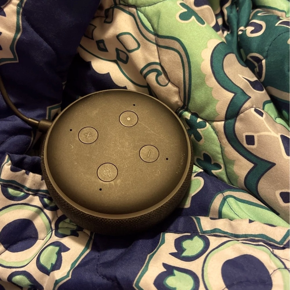Selling Amazon Alexa